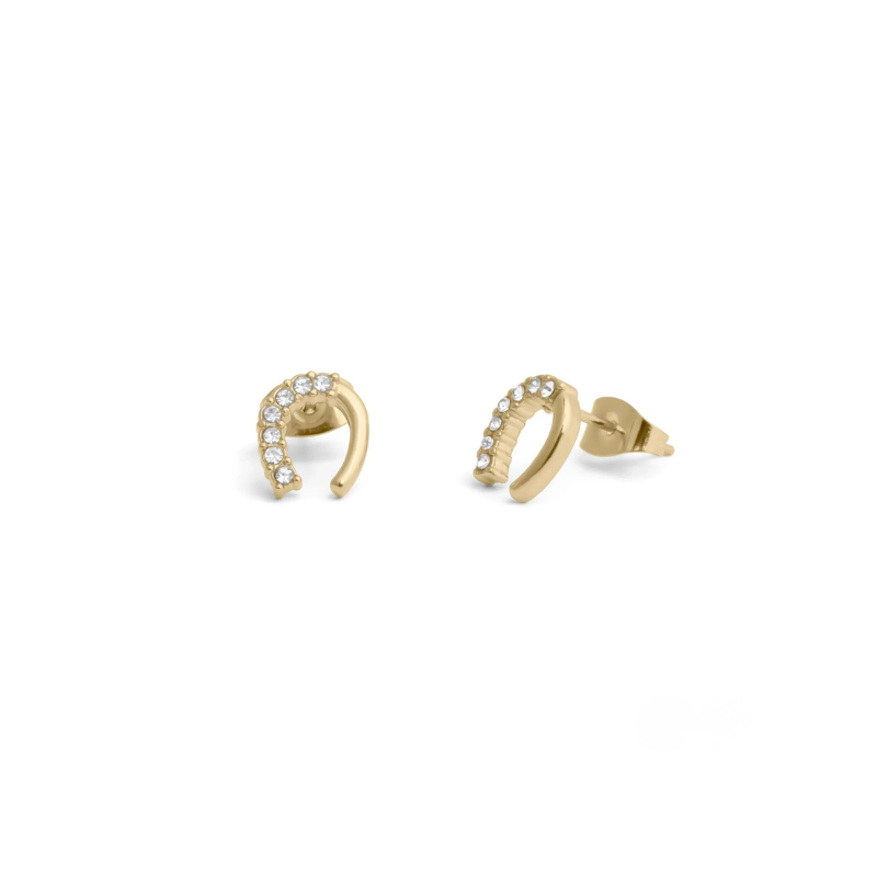 Stud Horseshoe Earrings in Gold